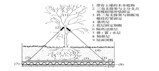 彩霸王提供资料